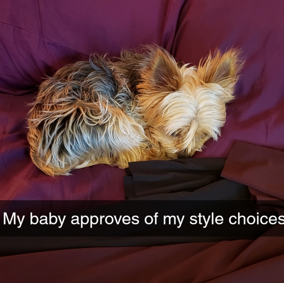 Meet your Posher, Jessie - Picture 5 of 5